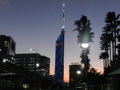 福岡タワーの夕暮れ　1