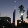 福岡タワーの夕暮れ　1