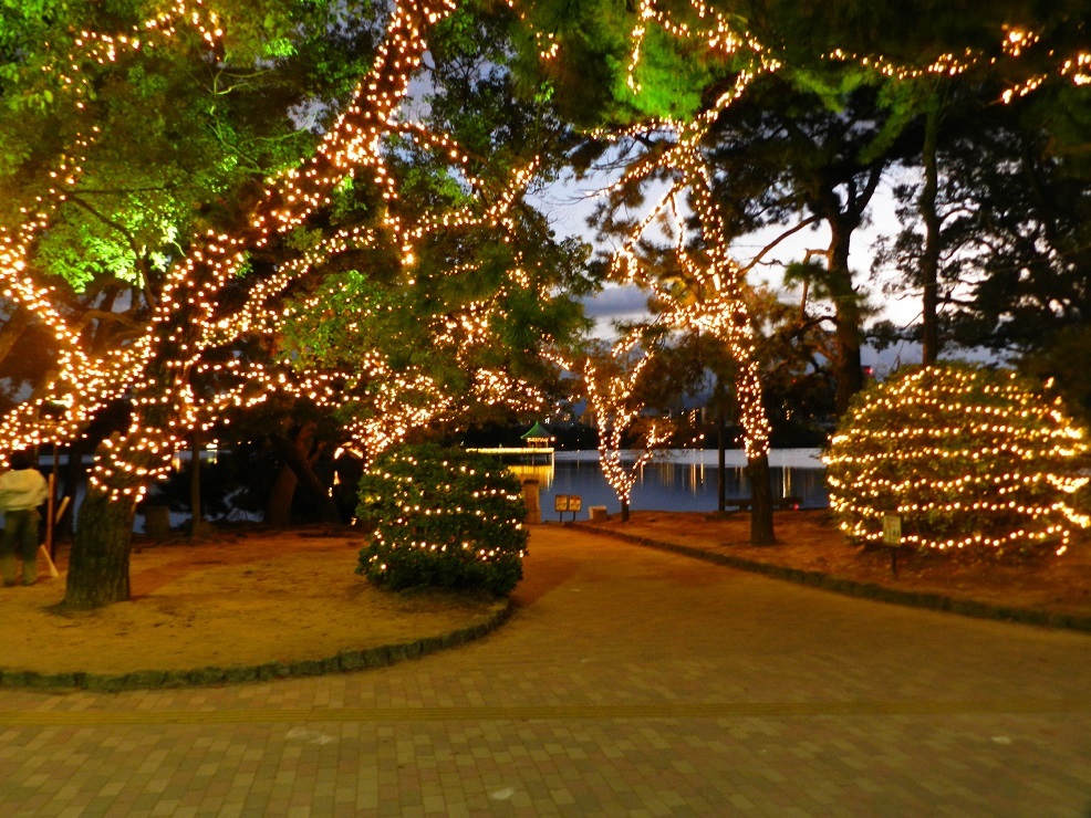 大濠公園イルミネーション　5