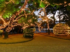 大濠公園イルミネーション　5