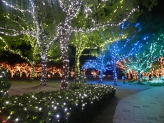 中州イルミネーション2025　14