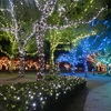 中州イルミネーション2025　14