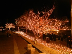 北九州小倉紫川イルミネーション　1