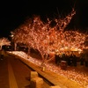 北九州小倉紫川イルミネーション　1