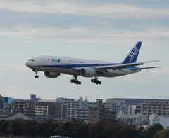 ANA B777-200ER JA716A　福岡空港ランディング　1
