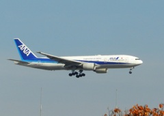 福岡空港へランディングのANA B777-200
