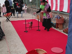 福岡市東区箱崎宮初詣　③