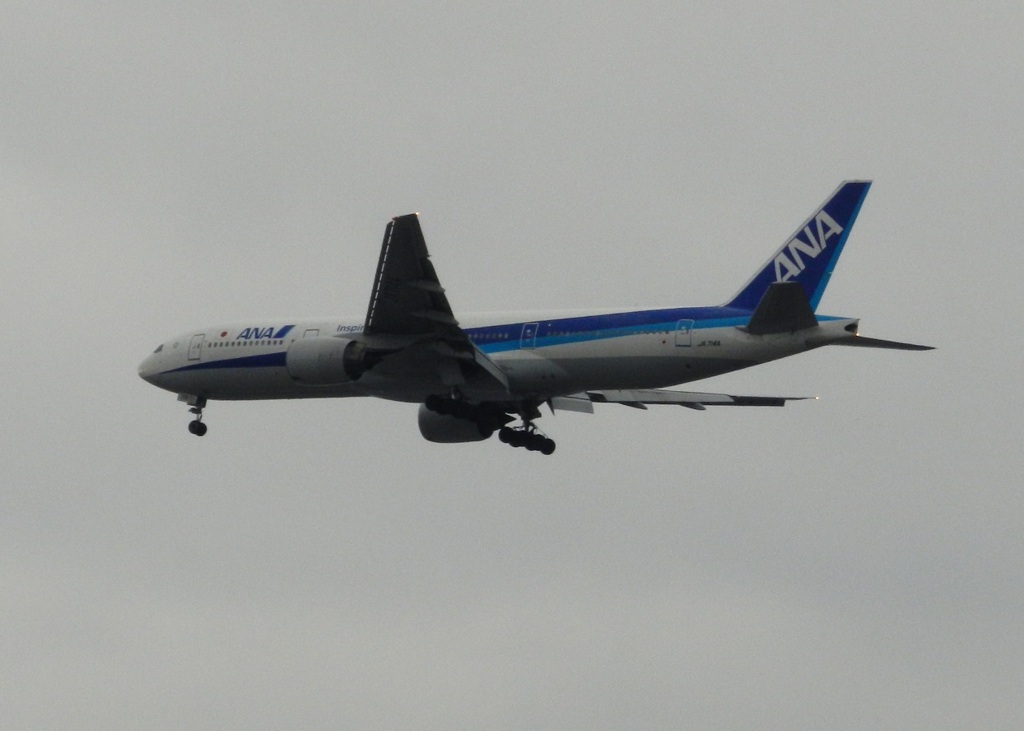 福岡空港へランディングのANA B777-200