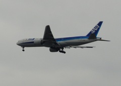 福岡空港へランディングのANA B777-200