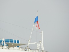 博多港に寄港のADORA MAGIC CITY　8