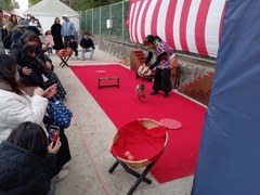 福岡市東区箱崎宮初詣　⑤