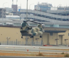 福岡空港へ下りる航空自衛隊　CH-47J  3
