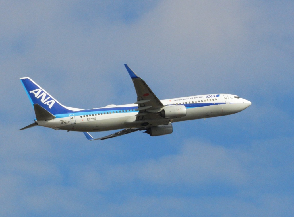 福岡空港ANA　B737-800離陸　2