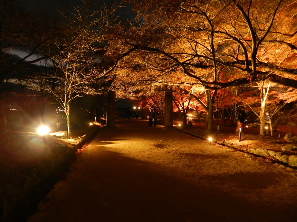 太宰府内山竈門神社　紅葉ライトアップ　1
