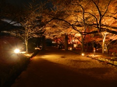 太宰府内山竈門神社　紅葉ライトアップ　1