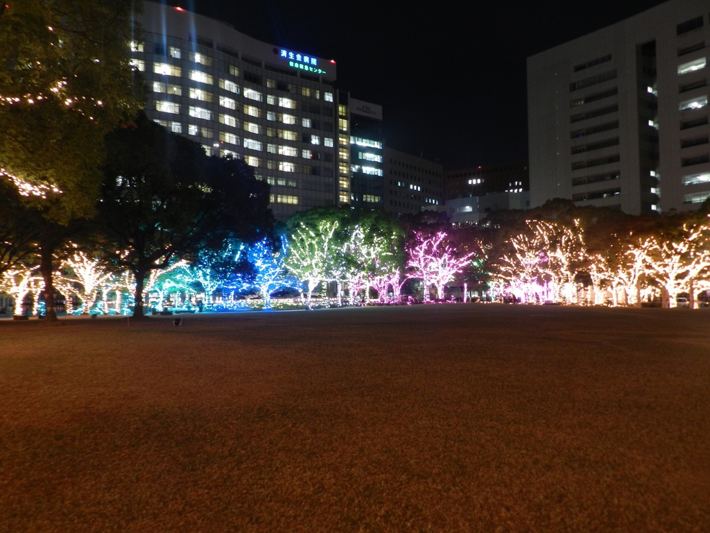中州イルミネーション2025　12