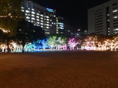 中州イルミネーション2025　12