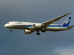 ANA B787-9 　福岡空港ランディング