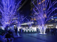 博多シティイルミネーション2025　6