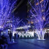 博多シティイルミネーション2025　6