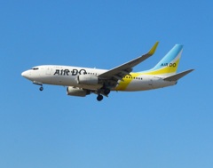 AID DO B737-700 福岡空港ランディング