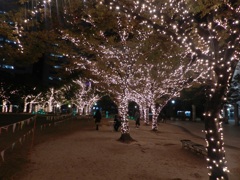 中州イルミネーション2025　11