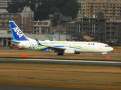 福岡空港　B737-800 JA58ANのふるさとJET　1