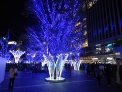 博多シティイルミネーション2025　5