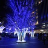 博多シティイルミネーション2025　5