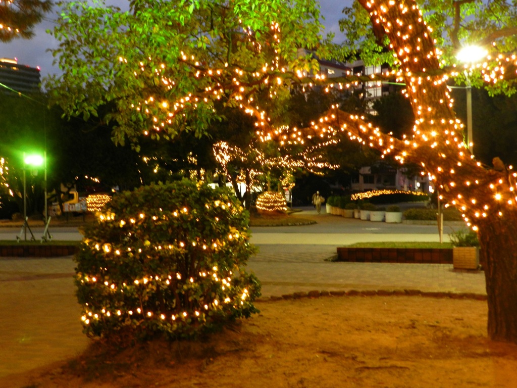 大濠公園イルミネーション　3