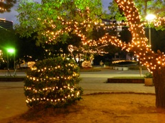 大濠公園イルミネーション　3