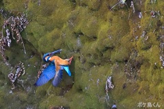 これ　何してる?  1