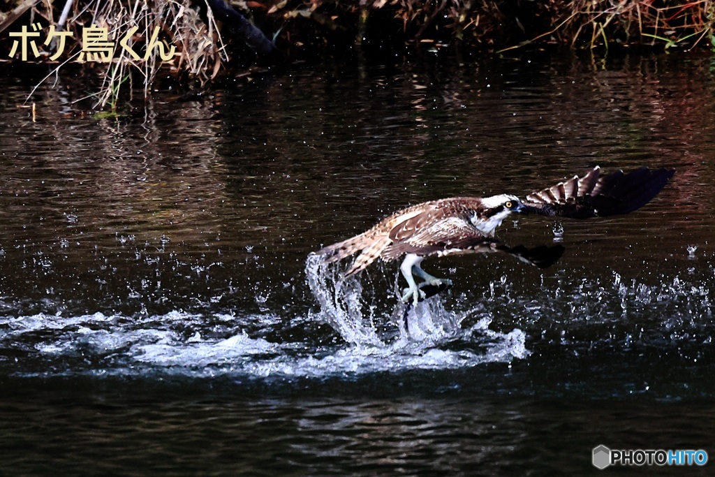 今回の主役は水