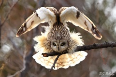 エンゼルポーズ