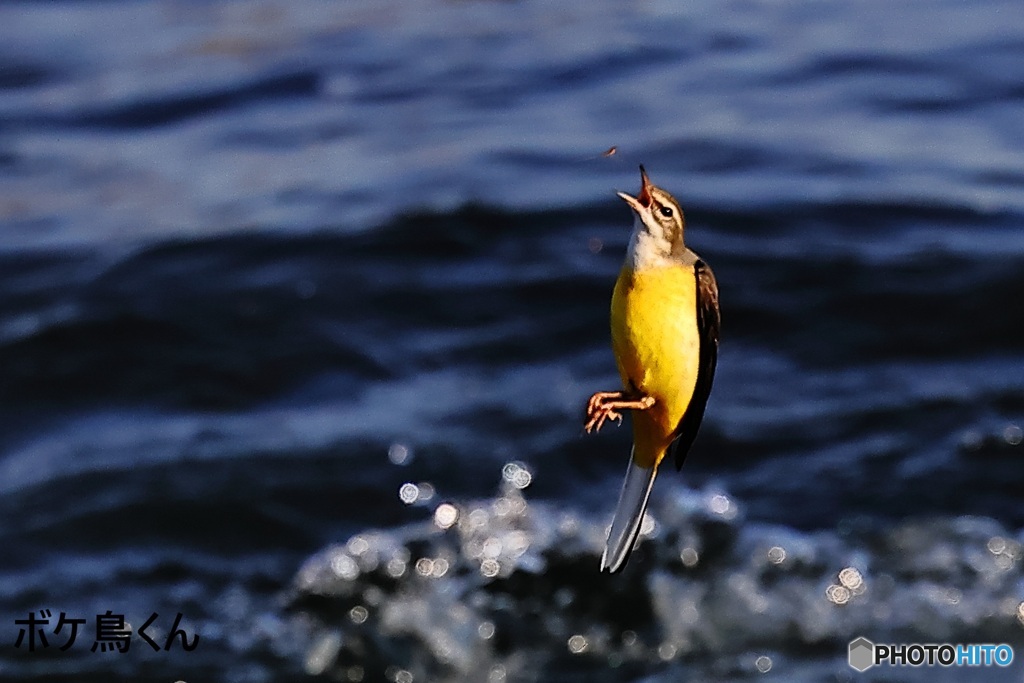 がんばってます