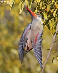 真下に飛び出し