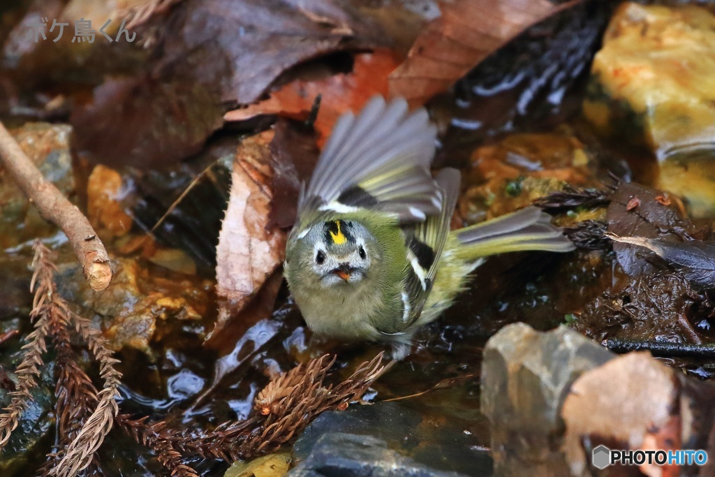 ６年前の初出会い