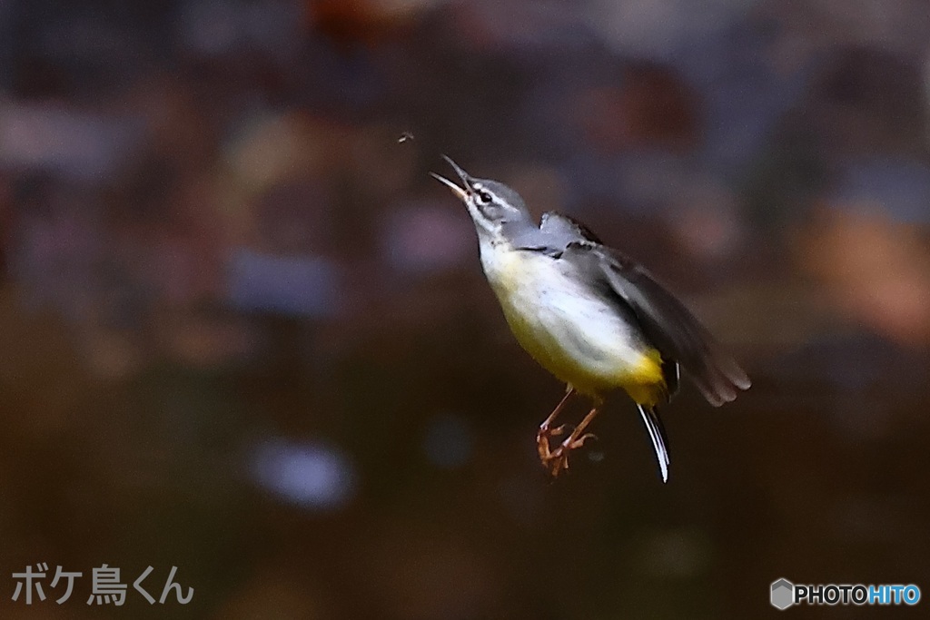 冬もがんばってます