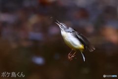 冬もがんばってます