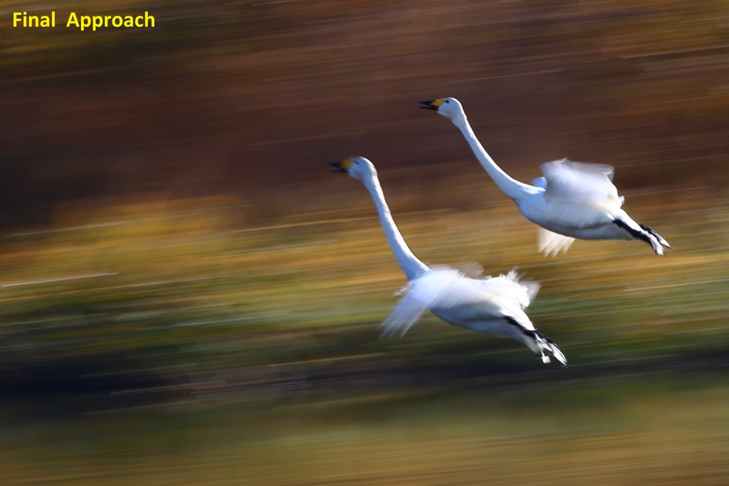 ファイナルアプローチ