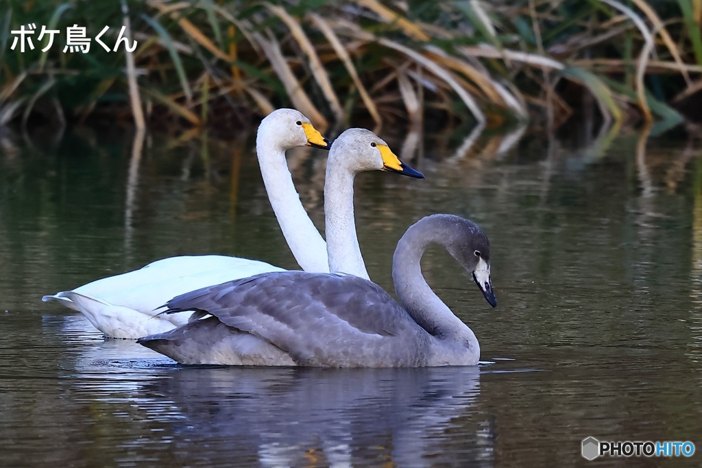 よく来てくれました