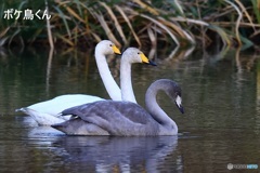 よく来てくれました