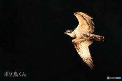 金色に輝いてくれた?  1