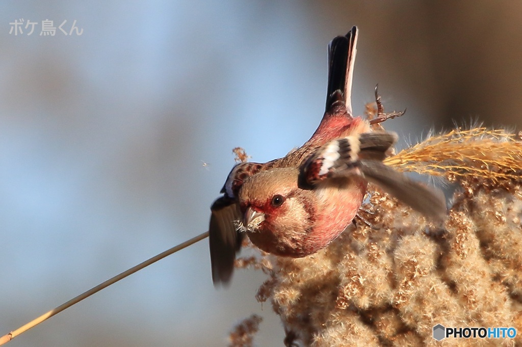 周り気にしません　2