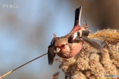 周り気にしません　2