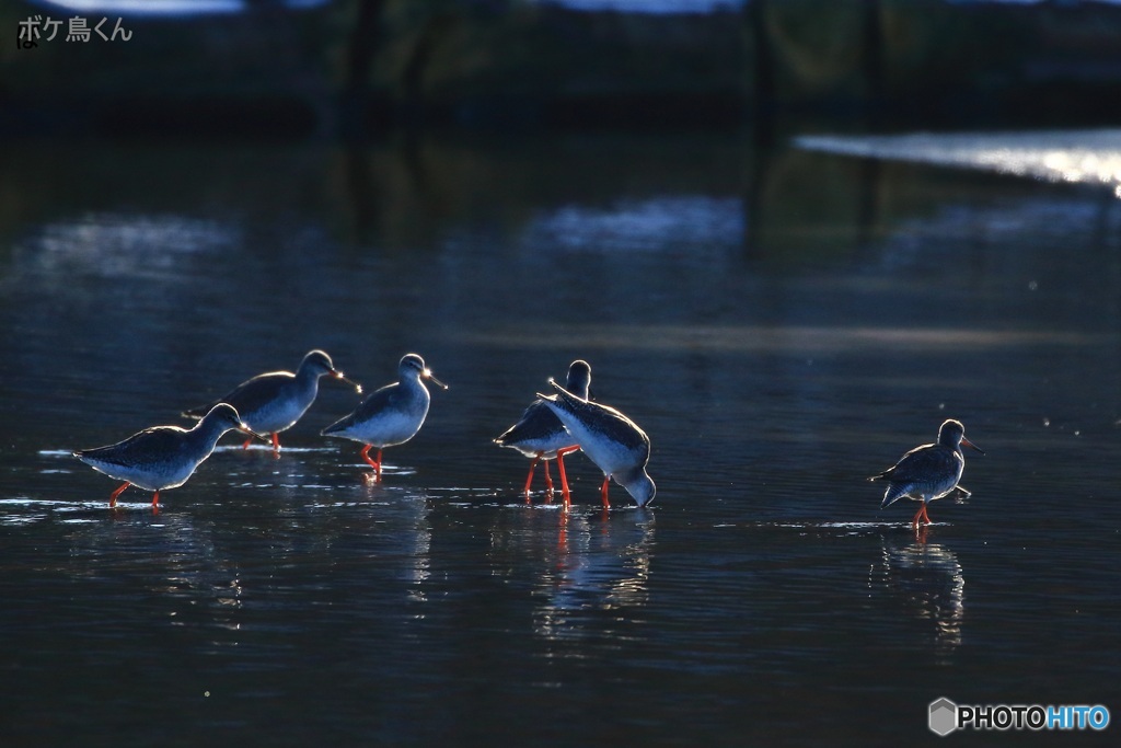 えっ　まだいたの　2