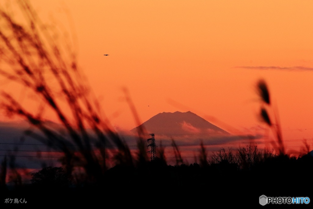 振り向けば富士山