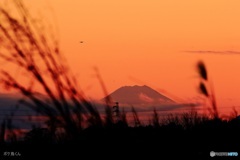 振り向けば富士山