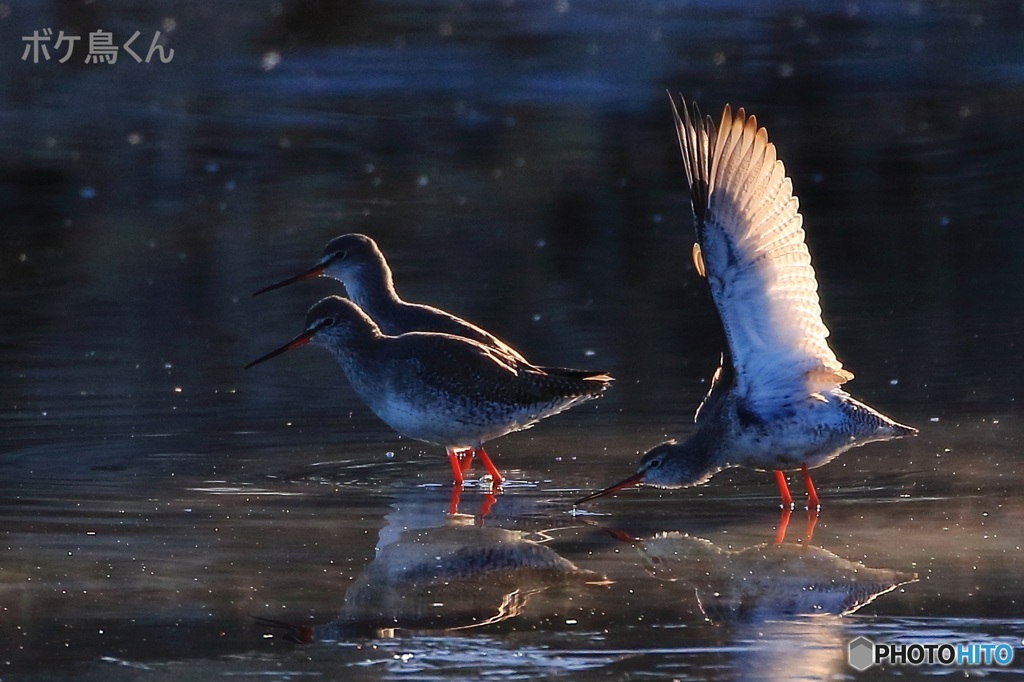 えっ　まだいたの　3