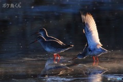 えっ　まだいたの　3